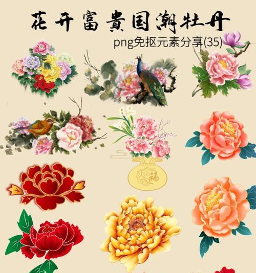 富贵彩菊的花语有哪些吉祥寓意？