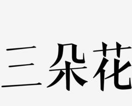 向日葵花语七朵和六朵有何不同？