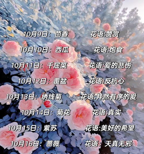 十二月十三日的生日花语是什么？