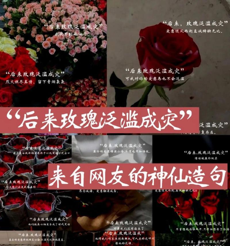 哪些玫瑰花品种容易泛滥？