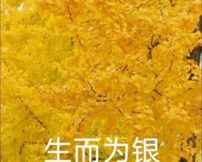 表情包卖萌的花语代表什么？表情包卖萌的含义是什么？