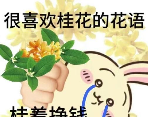 表情包卖萌的花语代表什么？表情包卖萌的含义是什么？