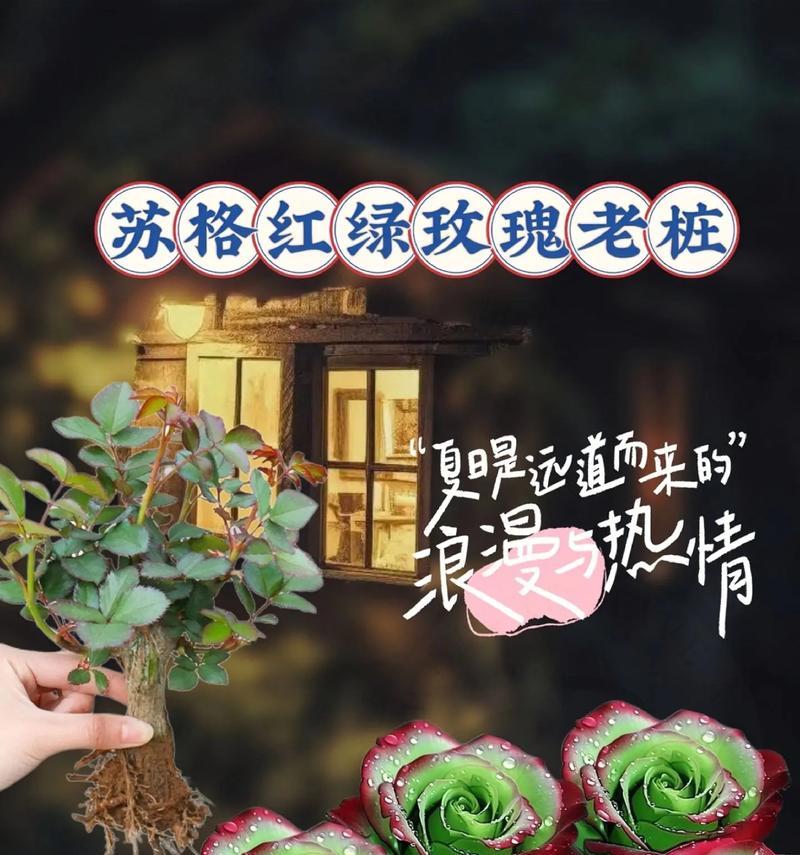 带叶子的玫瑰花成品名称是什么？