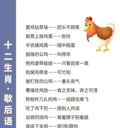 时间花语与哪些生肖和动物相关？它的含义是什么？
