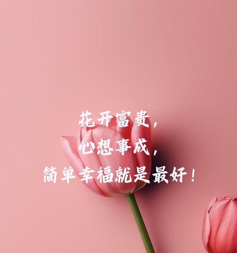 明天会更好快乐的花语代表什么？如何通过花语传递正能量？
