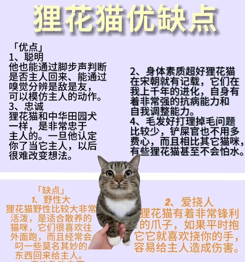 沉醉花语与哪种动物有关？它的含义是什么？