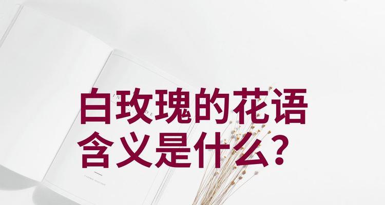 白玫瑰掉落时的花语是什么？