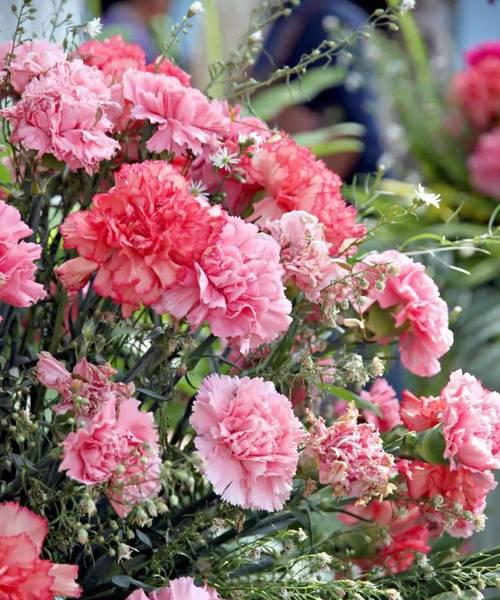 中花的花语是什么？中花代表的寓意是什么？