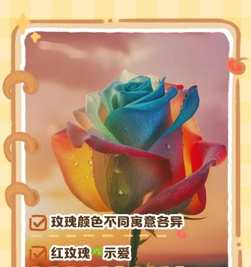 送粉色玫瑰花有什么寓意？它传达了怎样的情感？