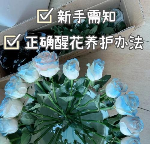 玫瑰花叶子如何正确折叠？有什么特别的技巧吗？
