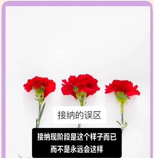 哪种花的花语代表着欢迎与接纳？