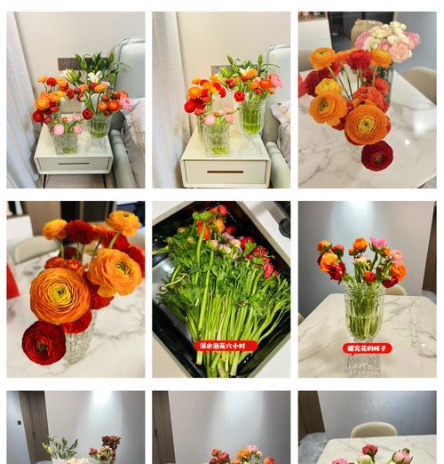 家门口的牡丹花如何保养？