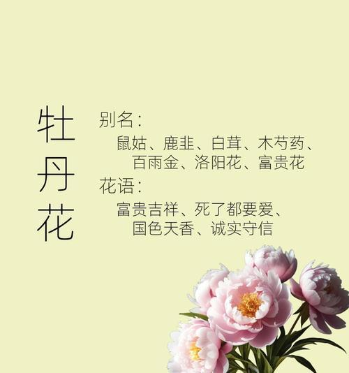 家门口的牡丹花如何保养？