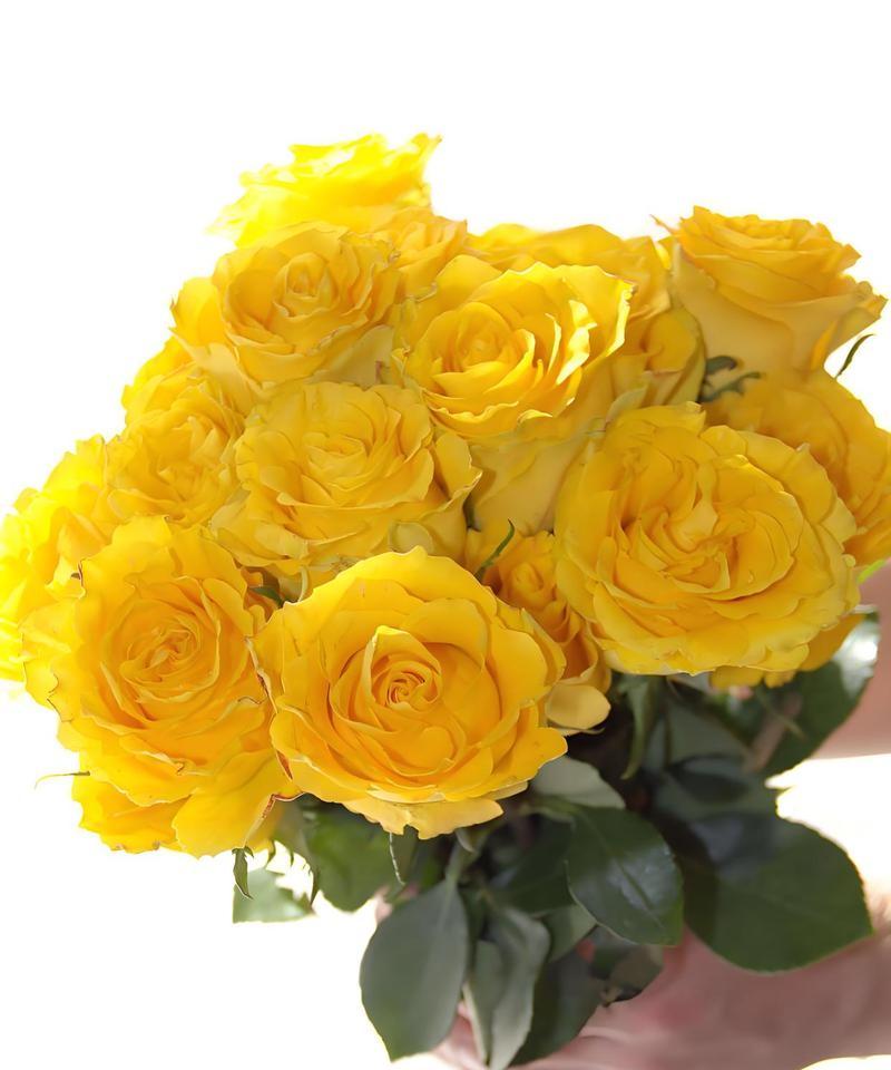 告别时一束花的花语是什么？告别花束代表什么？