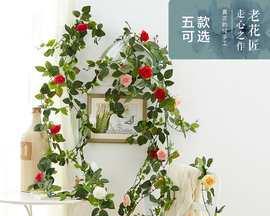 玫瑰花藤蔓爬墙植物的养护要点是什么？如何促进其生长？