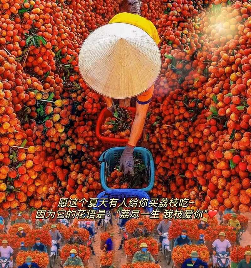 花语家大哥和小弟的结局有何寓意？