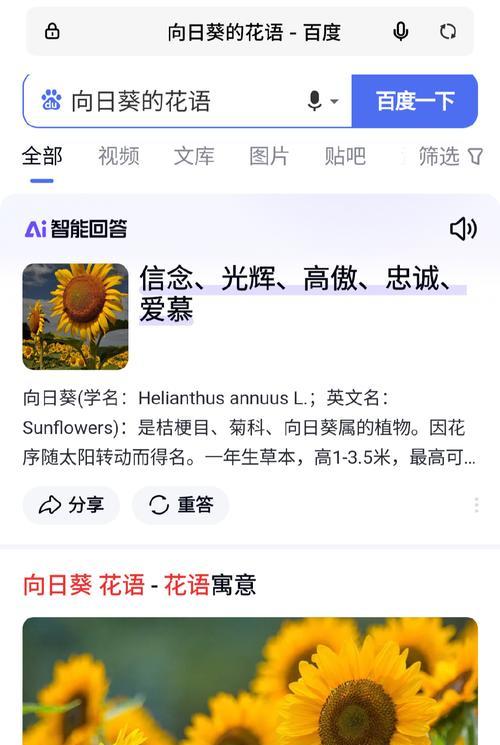 去见想见的人的花语是什么？这种花语如何表达我们的期待？