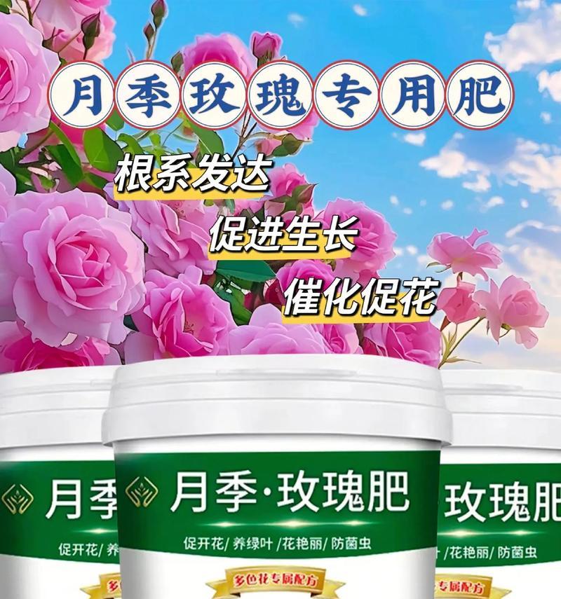玫瑰花施肥的正确方法是什么？