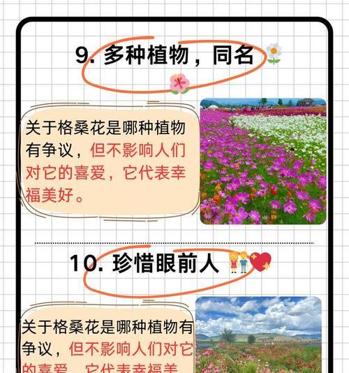 哪种花的花语与格桑花相似？