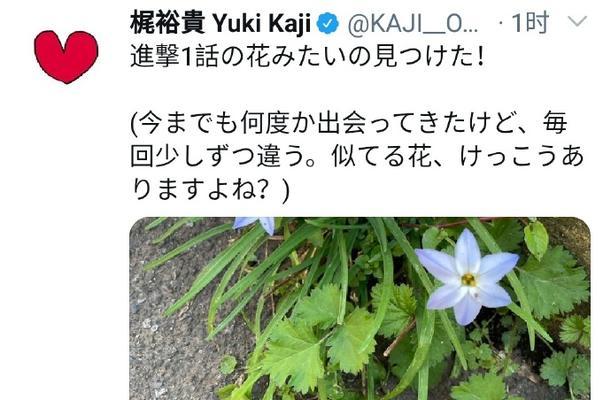 三笠最后的花语有何深意？