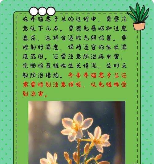 君子兰换盆和施肥的正确方法是什么？需要注意什么？