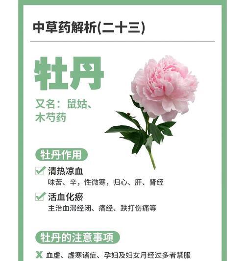 种子种的牡丹花怎么养护和管理？