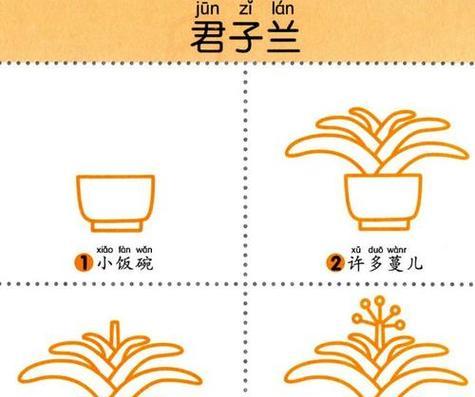 君子兰与小宝宝有哪些区别？如何区分？