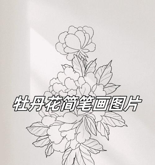 牡丹花钩织花瓣不卷是什么原因？如何解决？