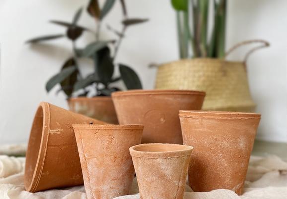 瓦盆种植仙人掌的步骤是什么？怎样选择合适的瓦盆？