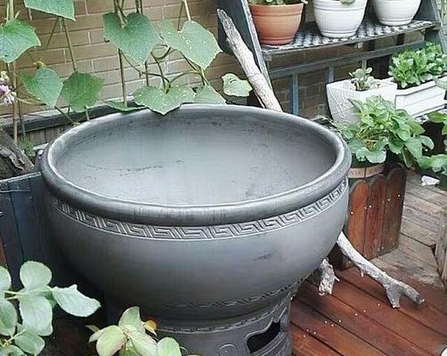 瓦盆种植仙人掌的步骤是什么？怎样选择合适的瓦盆？