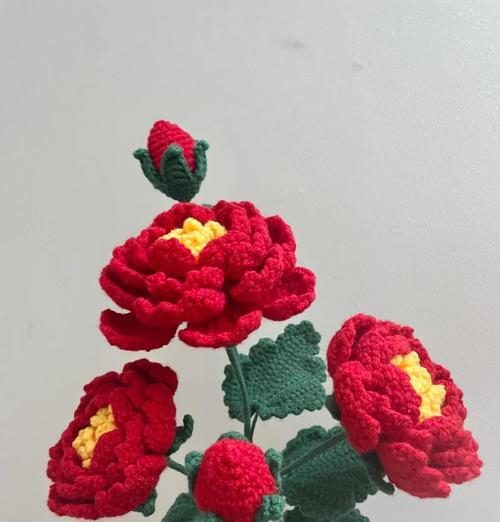 云南种牡丹花怎么养护来年会开花？有哪些特别的养护技巧？
