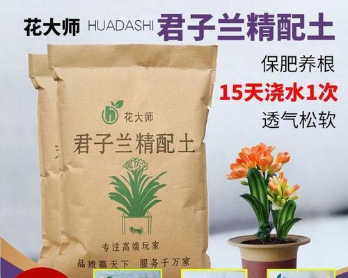 君子兰去除底部叶子的正确方法是什么？有何注意事项？