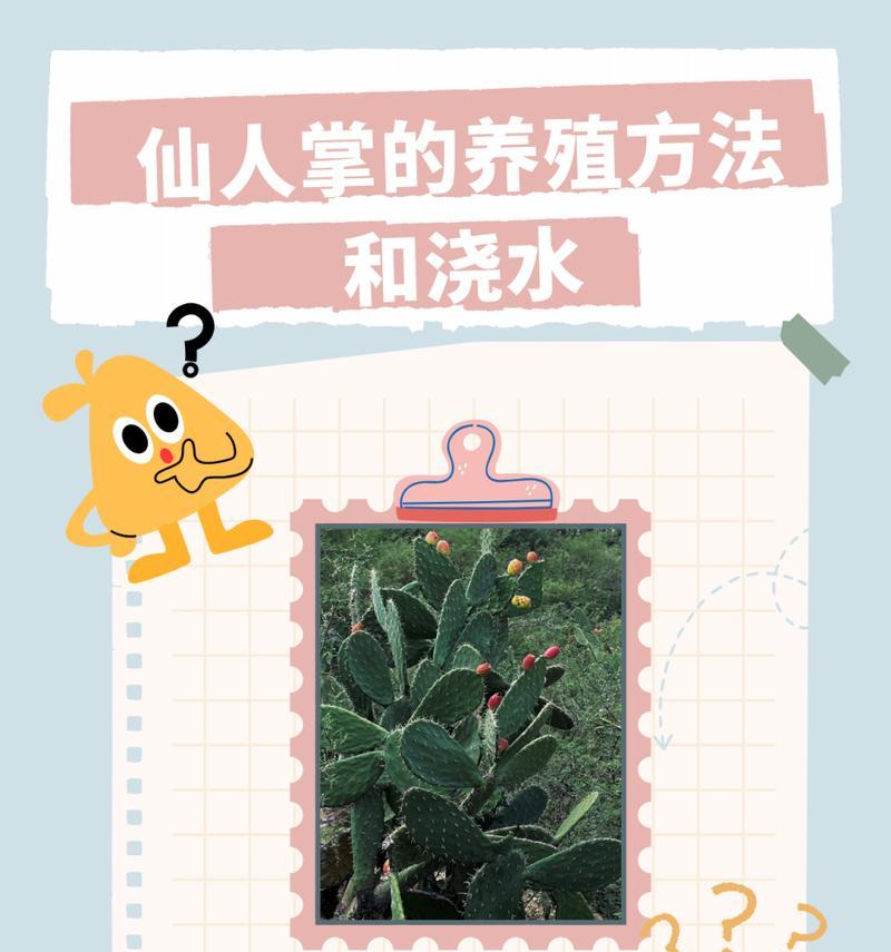 仙人掌扦插后的正确浇水方式？