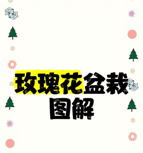 玫瑰花如何促进花苞的形成？