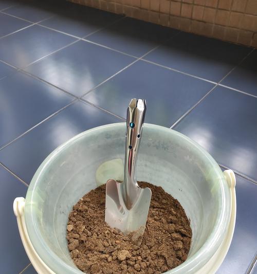 仙人球沙子土怎么种植？玫瑰花怎么修剪成型？