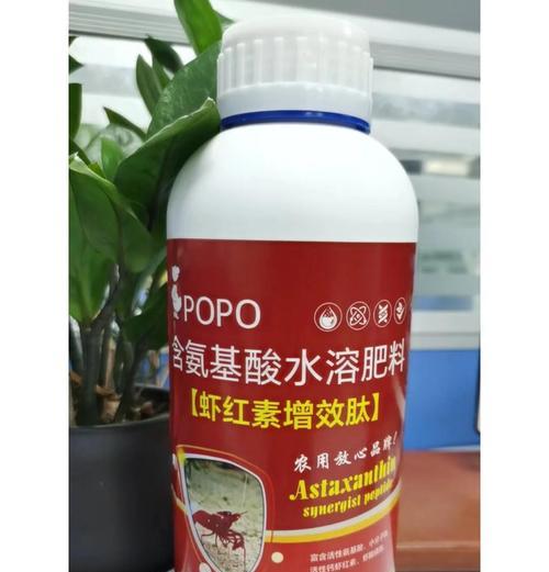 北极光牡丹花的养殖方法是什么？需要注意哪些问题？