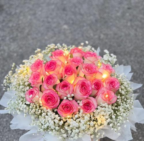 艾莎玫瑰花的种植与养护要点是什么？有哪些特别的注意事项？