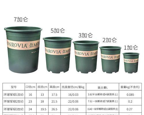 君子兰塑料花盆变透明的原因是什么？