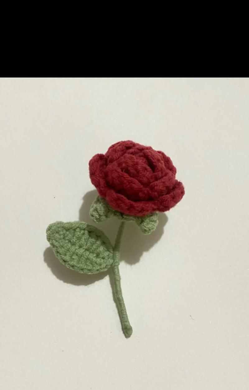 玫瑰花需要多少毛线才能开花？这是真的吗？