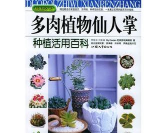 仙人掌种植的技巧和效果如何？