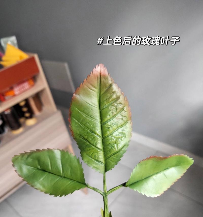 玫瑰花叶子修剪的正确方法是什么？