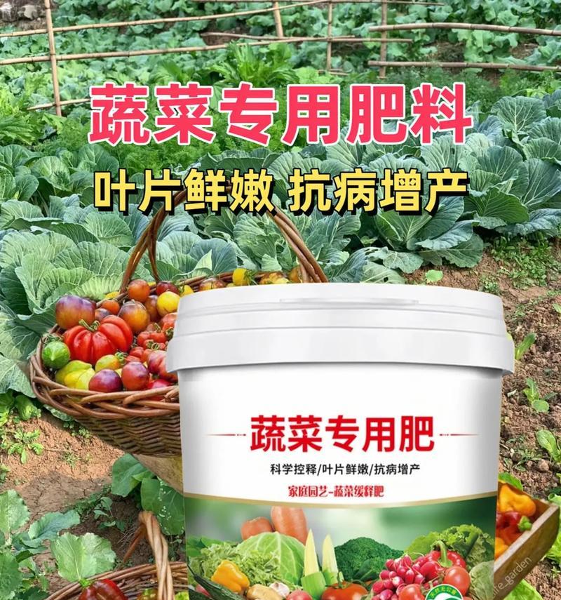 什么菜根部像玫瑰花的叶子？有哪些常见的蔬菜？