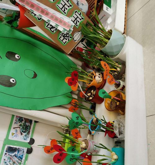 大号仙人球彩球种植步骤是什么？种植后如何照料？