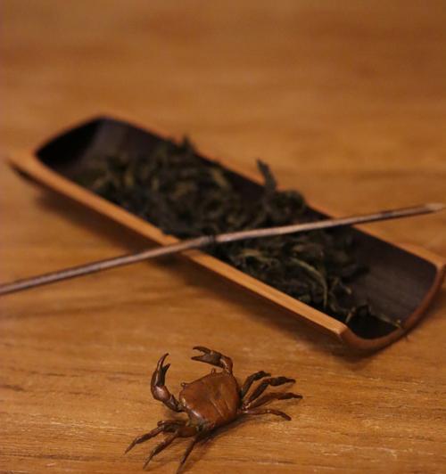 小茶宠牡丹花的养护要点是什么？