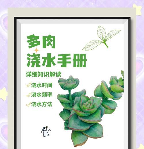 仙人球浇水太勤了怎么办？如何调整浇水频率？