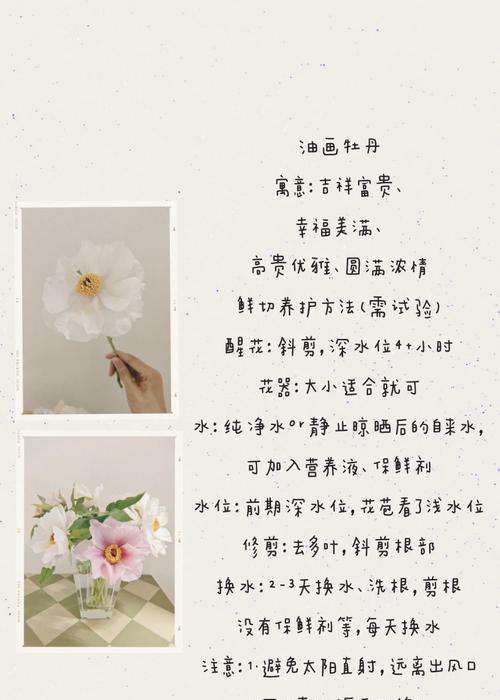 牡丹花养护需要注意什么？
