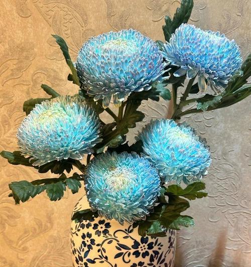 牡丹花养护需要注意什么？