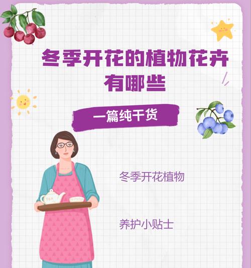 一年君子兰如何养护才能开花？