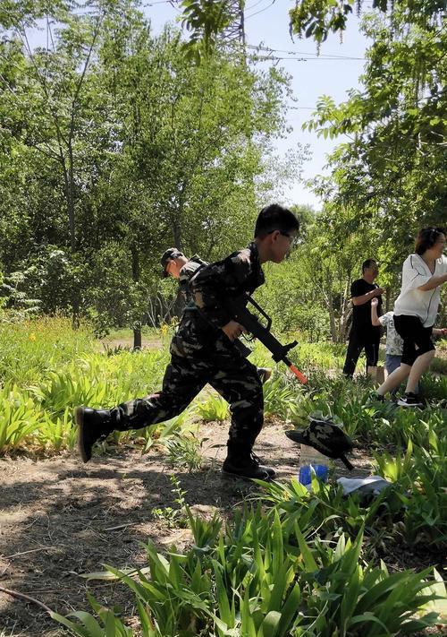双头鱼无刺仙人球的养护要点是什么？有哪些注意事项？