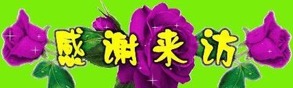 山茶玫瑰花的养护与管理技巧有哪些？